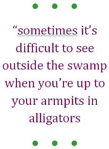 marketing swamp